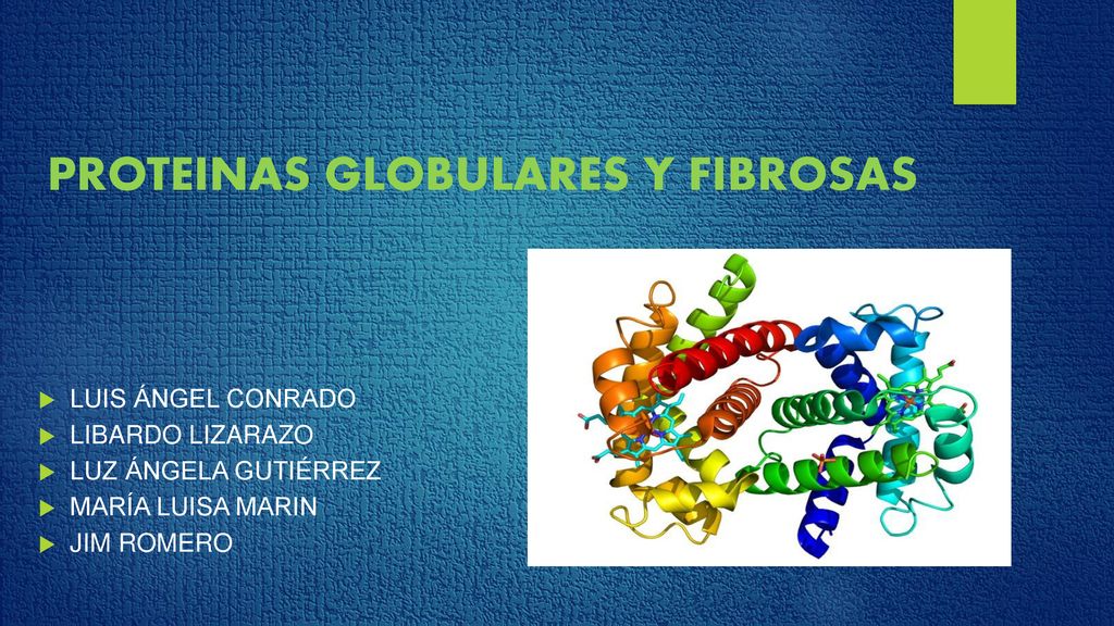caracteristicas de proteinas globulares